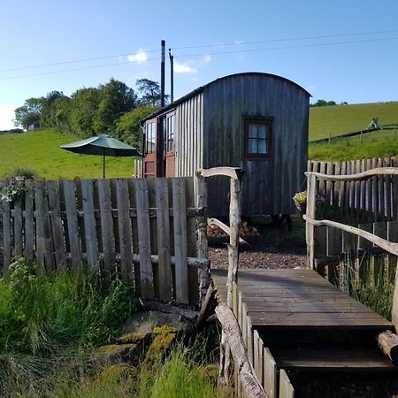 Eco Accommodation Cornflower 克雷文阿姆斯 外观 照片