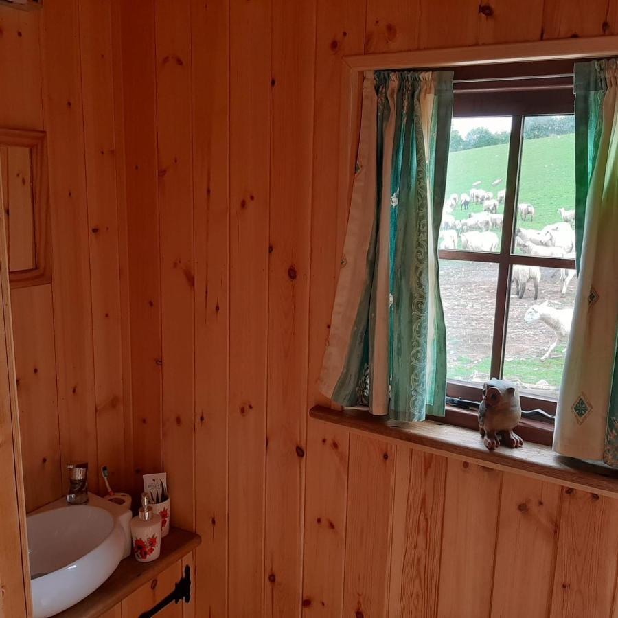 Eco Accommodation Cornflower 克雷文阿姆斯 外观 照片