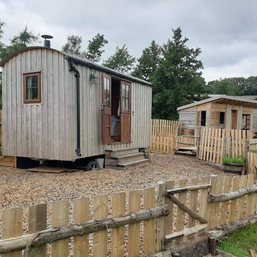 Eco Accommodation Cornflower 克雷文阿姆斯 外观 照片