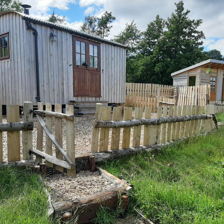 Eco Accommodation Cornflower 克雷文阿姆斯 外观 照片