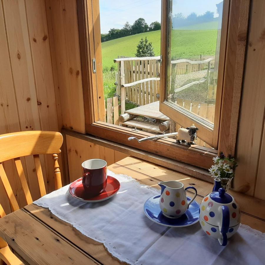 Eco Accommodation Cornflower 克雷文阿姆斯 外观 照片