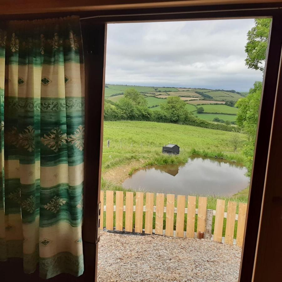 Eco Accommodation Cornflower 克雷文阿姆斯 外观 照片